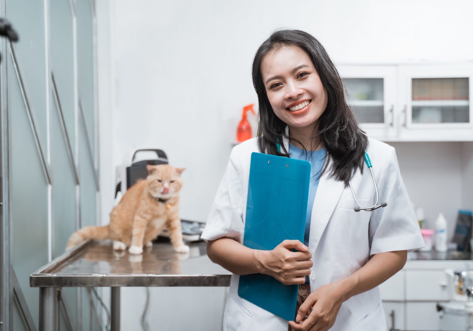 Fakta Menarik Kedokteran Hewan yang Perlu Kamu Ketahui