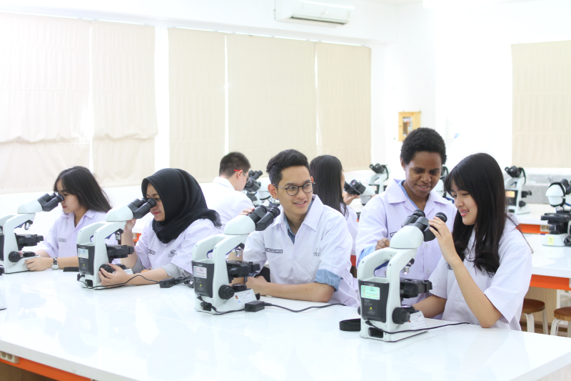 Daftar Sekolah Kedokteran Terbaik Di Dunia